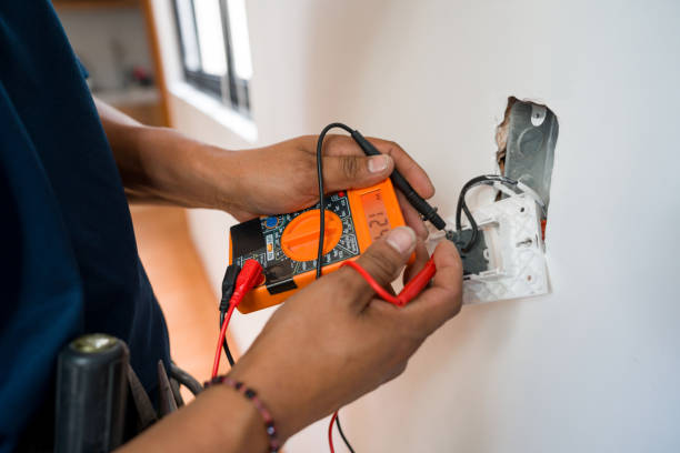 Best Local Electrician Companies  in Elfers, FL